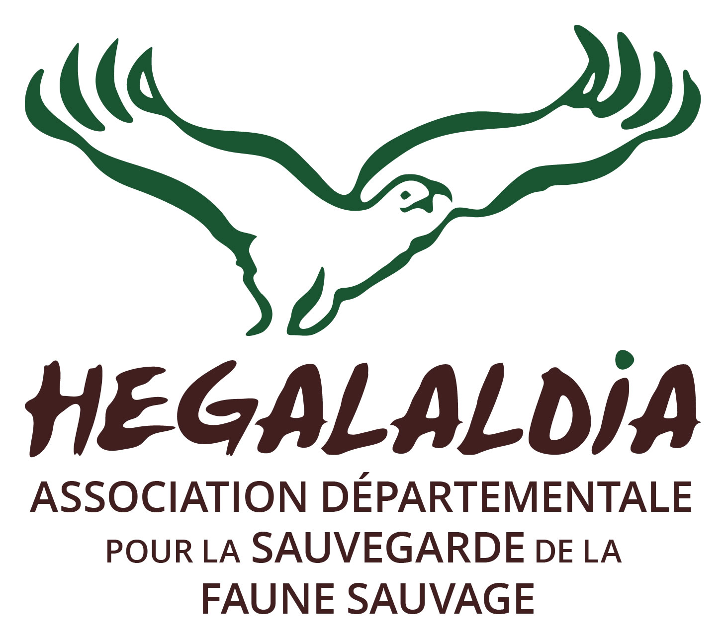ASSOCIATION HEGALALDIA-L'ENVOL